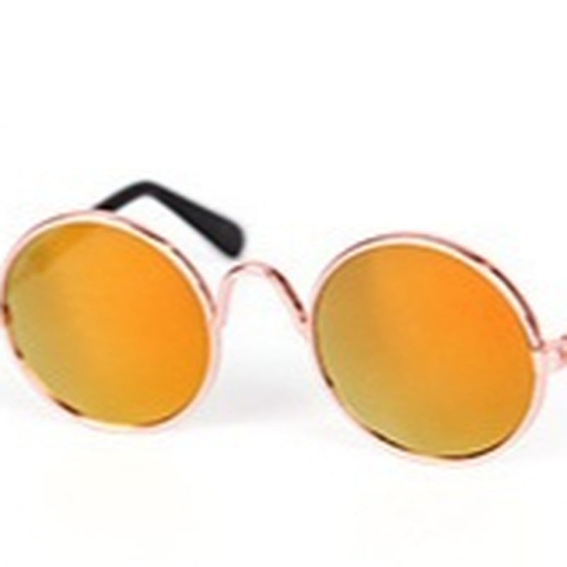 Pet Glasses, Cat Accessory