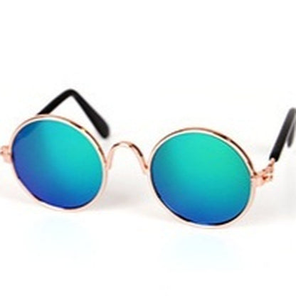 Pet Glasses, Cat Accessory