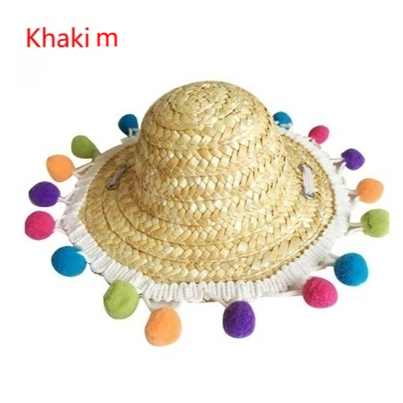 Pet Glasses, Cat Accessory