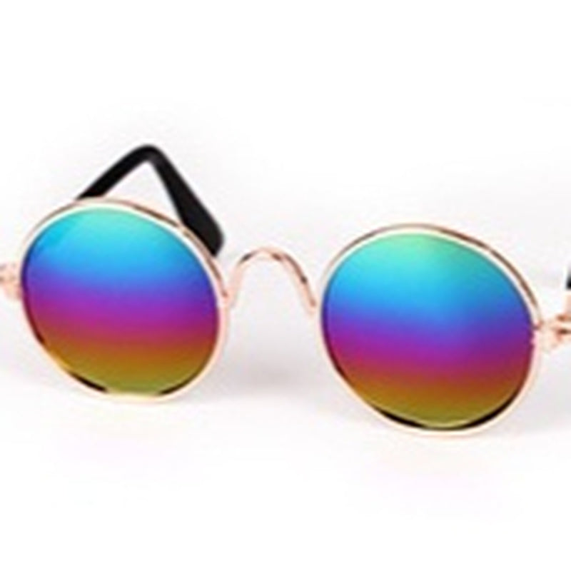 Pet Glasses, Cat Accessory