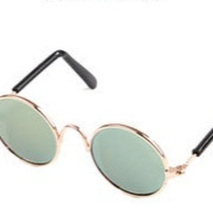 Pet Glasses, Cat Accessory